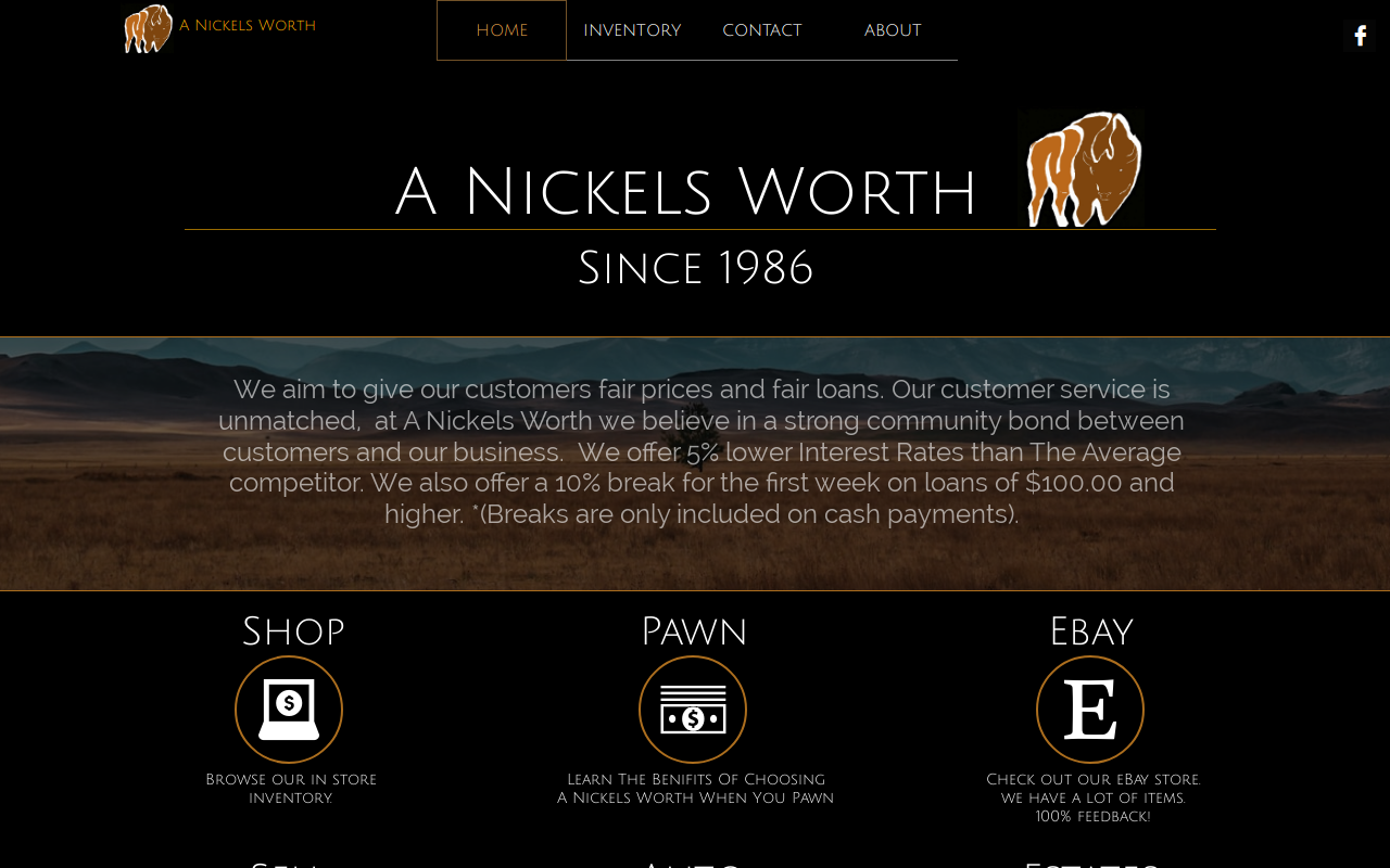 A Nickels Worth website preview