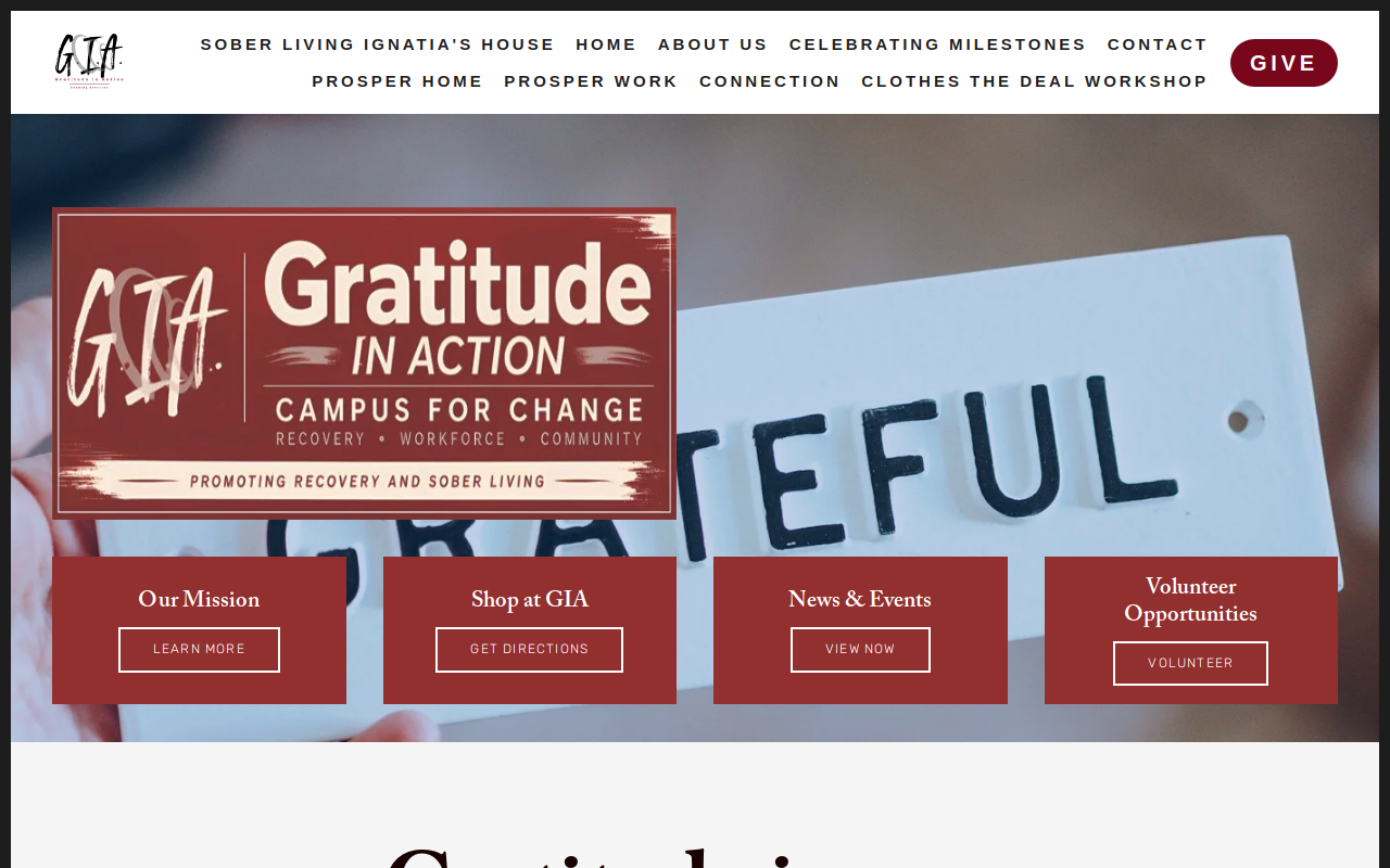 Gratitude In Action website preview