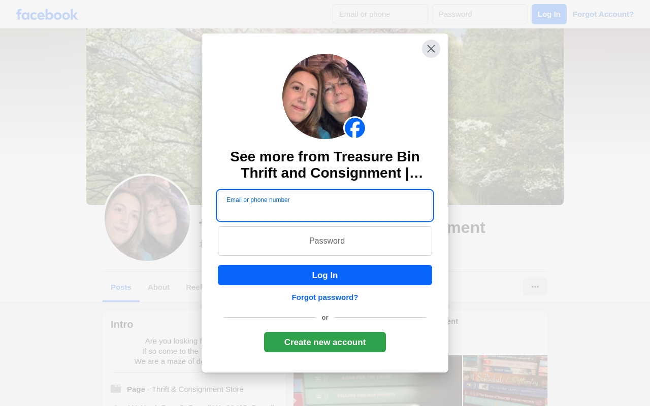 Treasure Bin Thrift and Consignment website preview