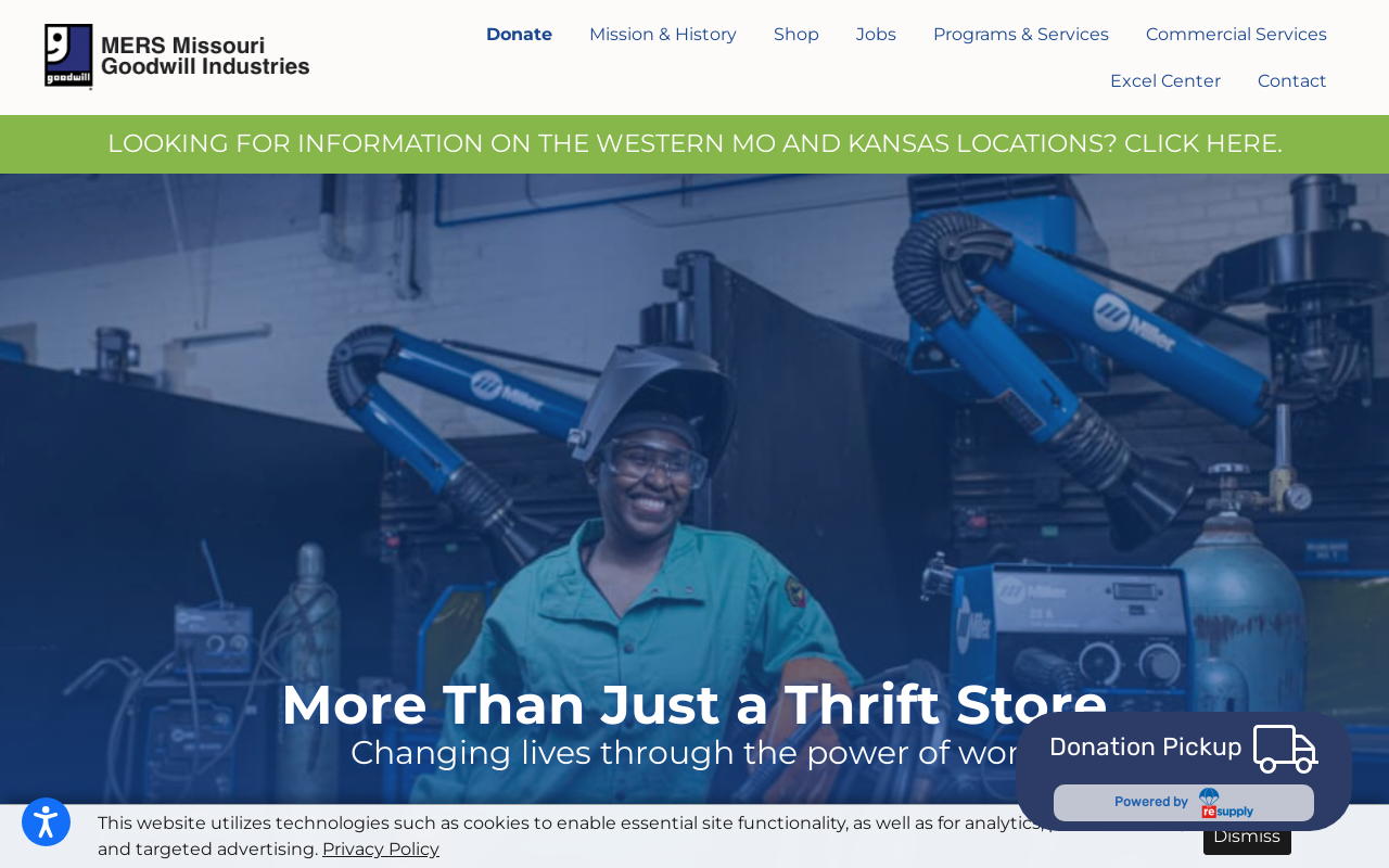 Goodwill website preview