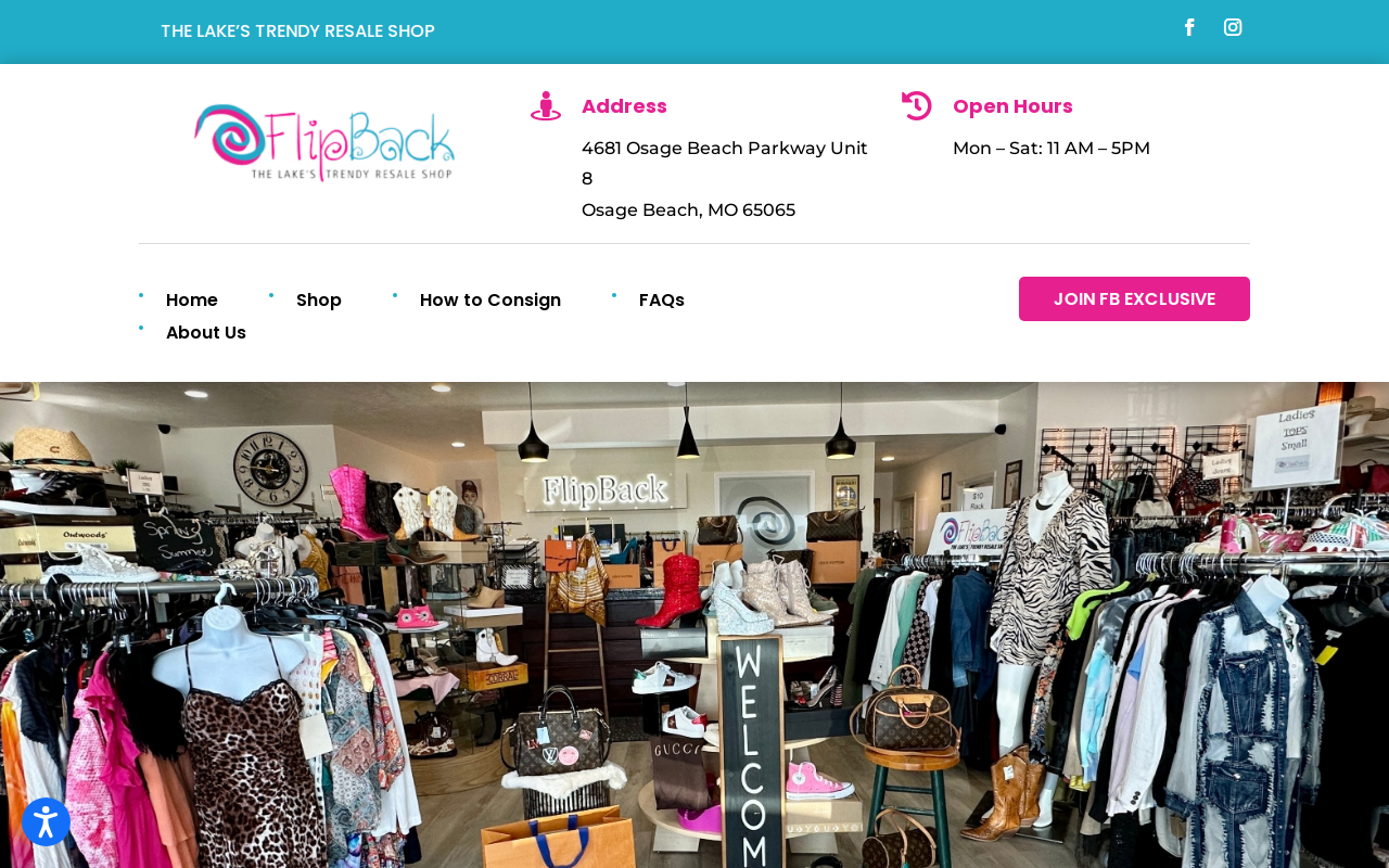 FlipBack website preview