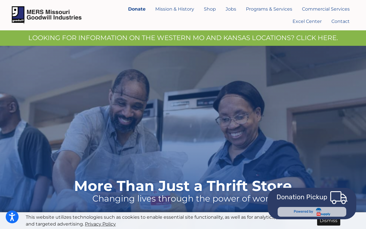 Goodwill website preview