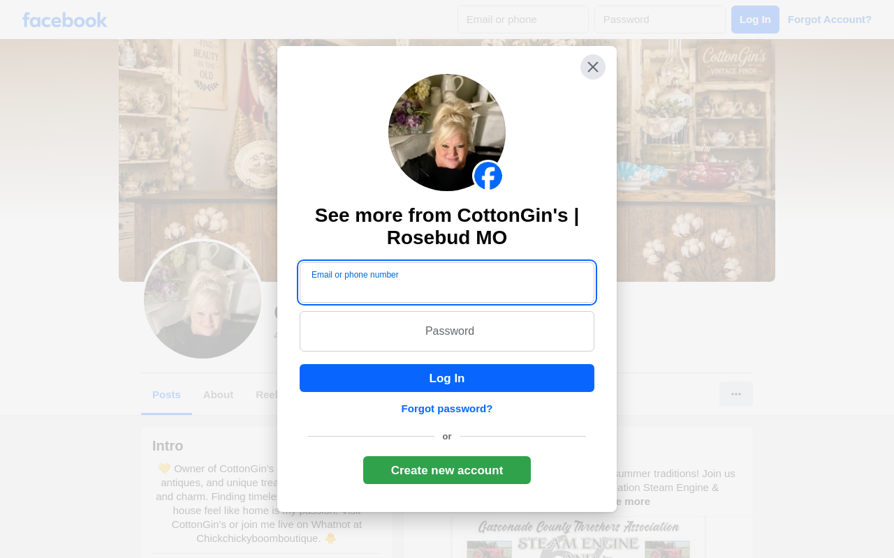 CottonGin's website preview