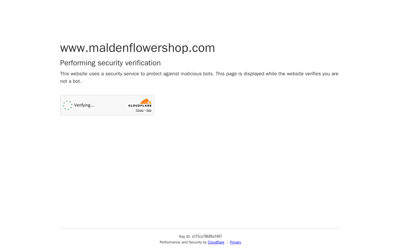 Malden Pawn Shop website preview