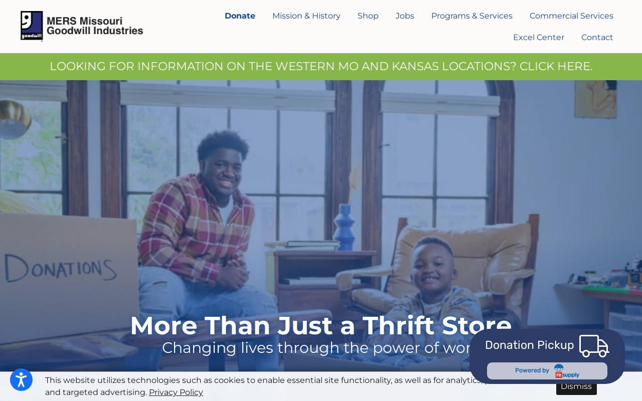 Goodwill website preview