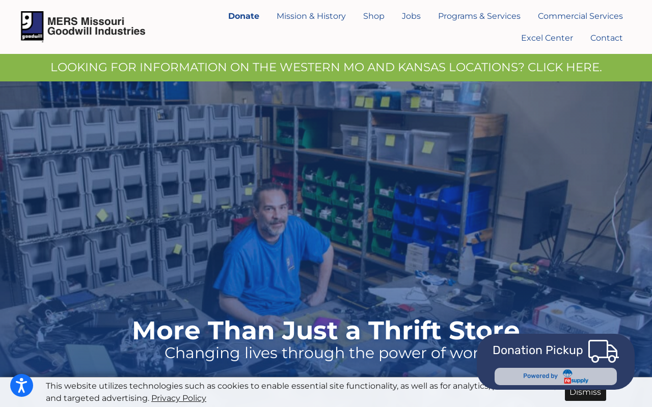 Goodwill website preview