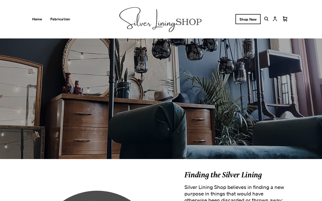 Silver Lining Shop website preview