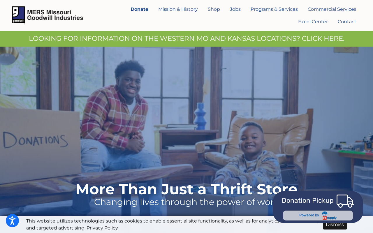 Goodwill website preview