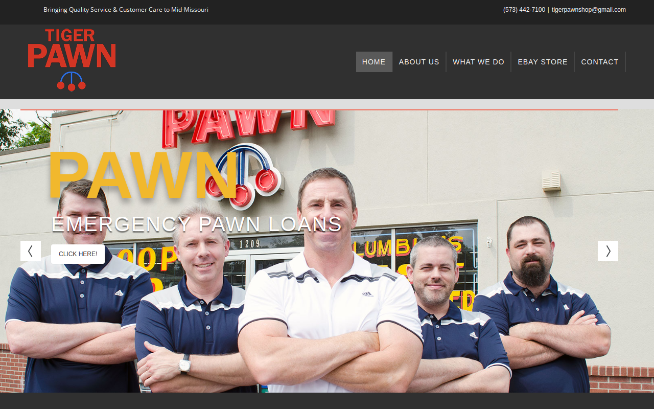 Tiger Pawn Mexico website preview
