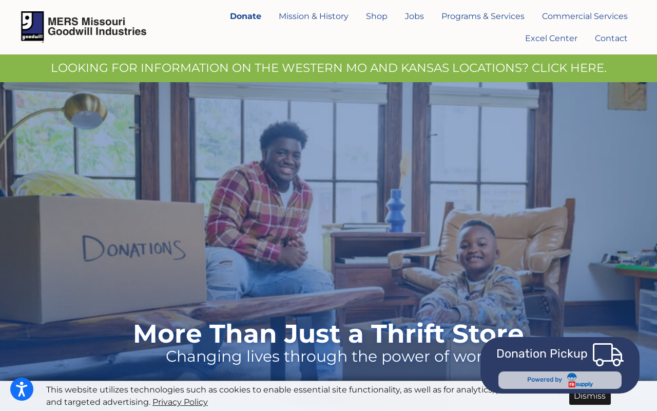 Goodwill website preview