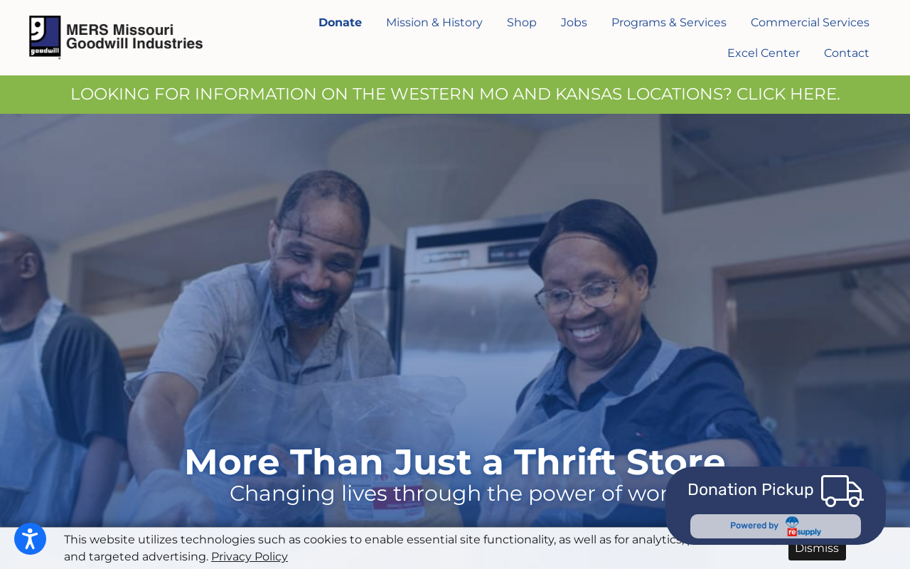Goodwill website preview