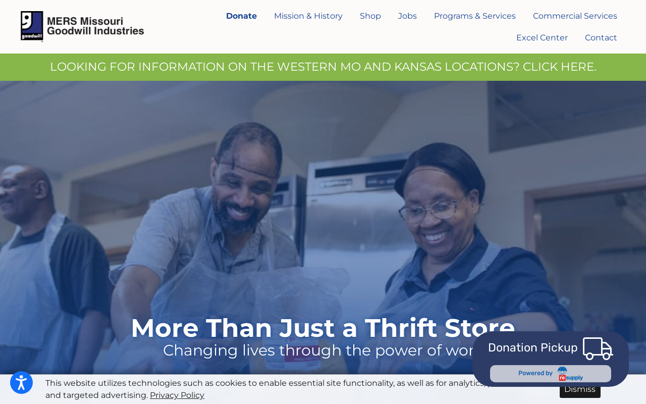 Goodwill website preview