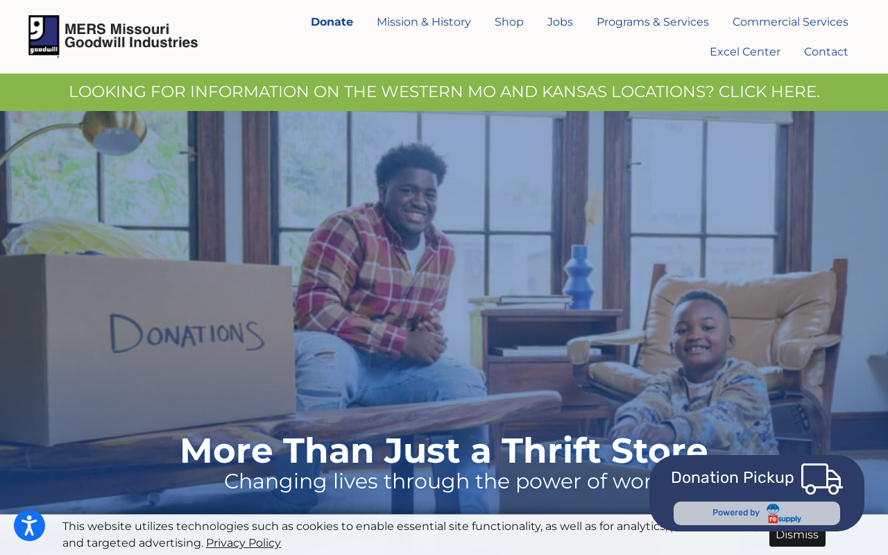 Goodwill website preview