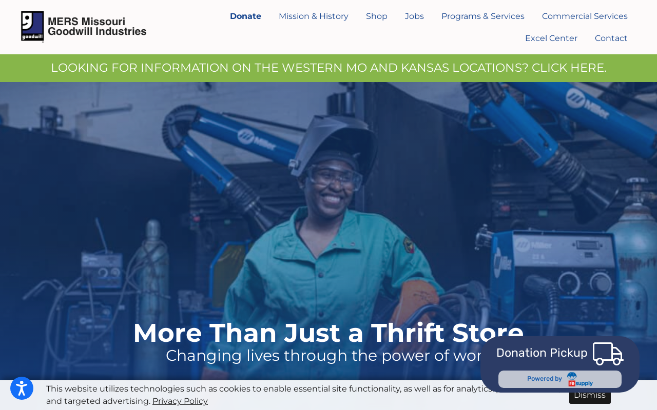 Goodwill website preview