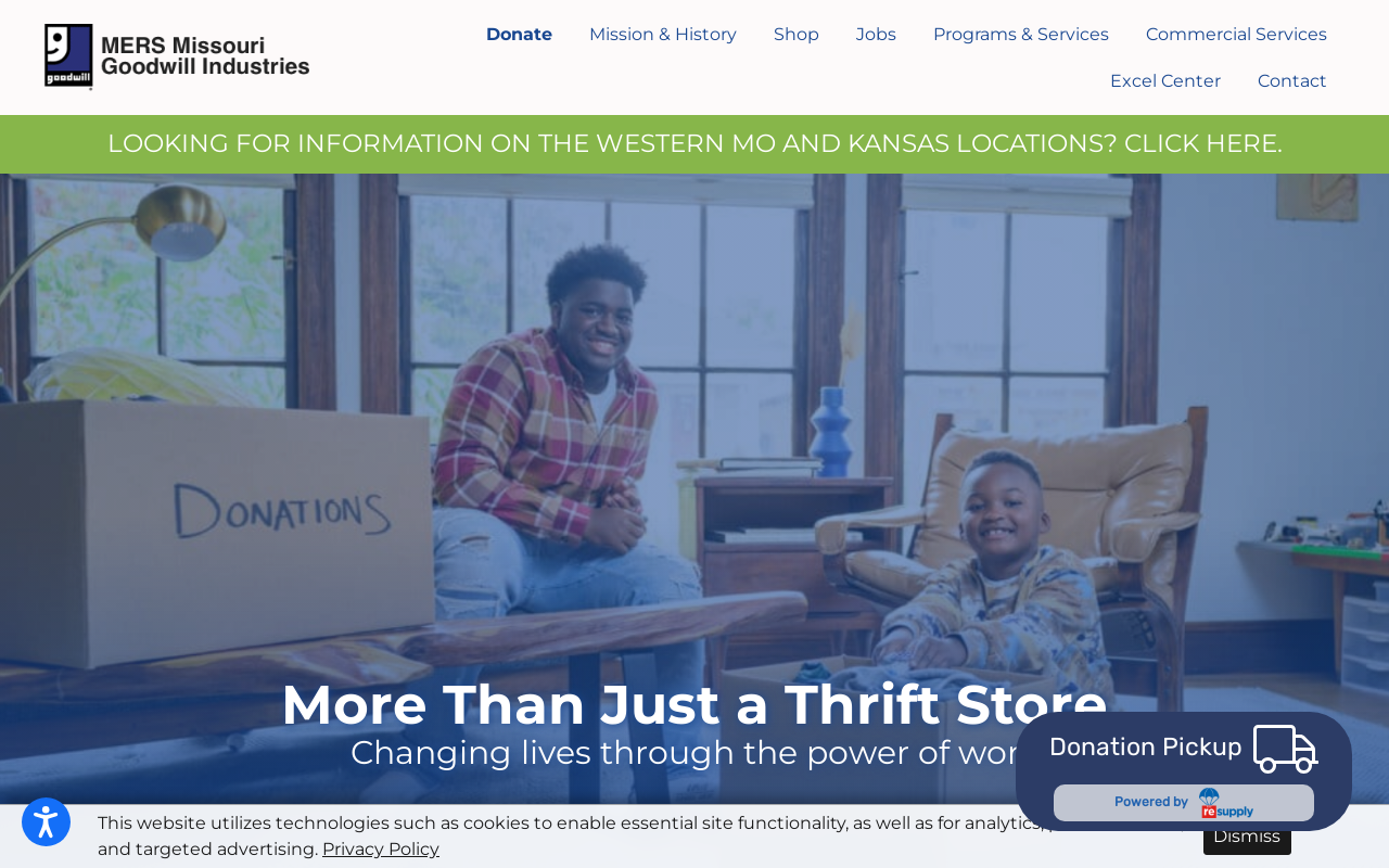 Goodwill website preview