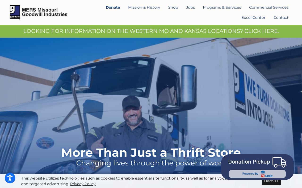 Goodwill website preview