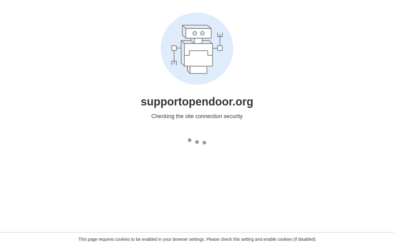 The Open Door Store website preview
