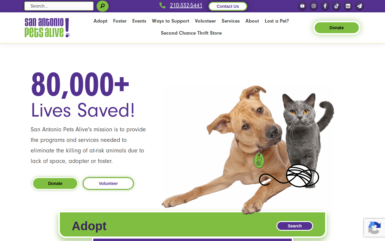 San Antonio Pets Alive! Second Chance Thrift Store website preview