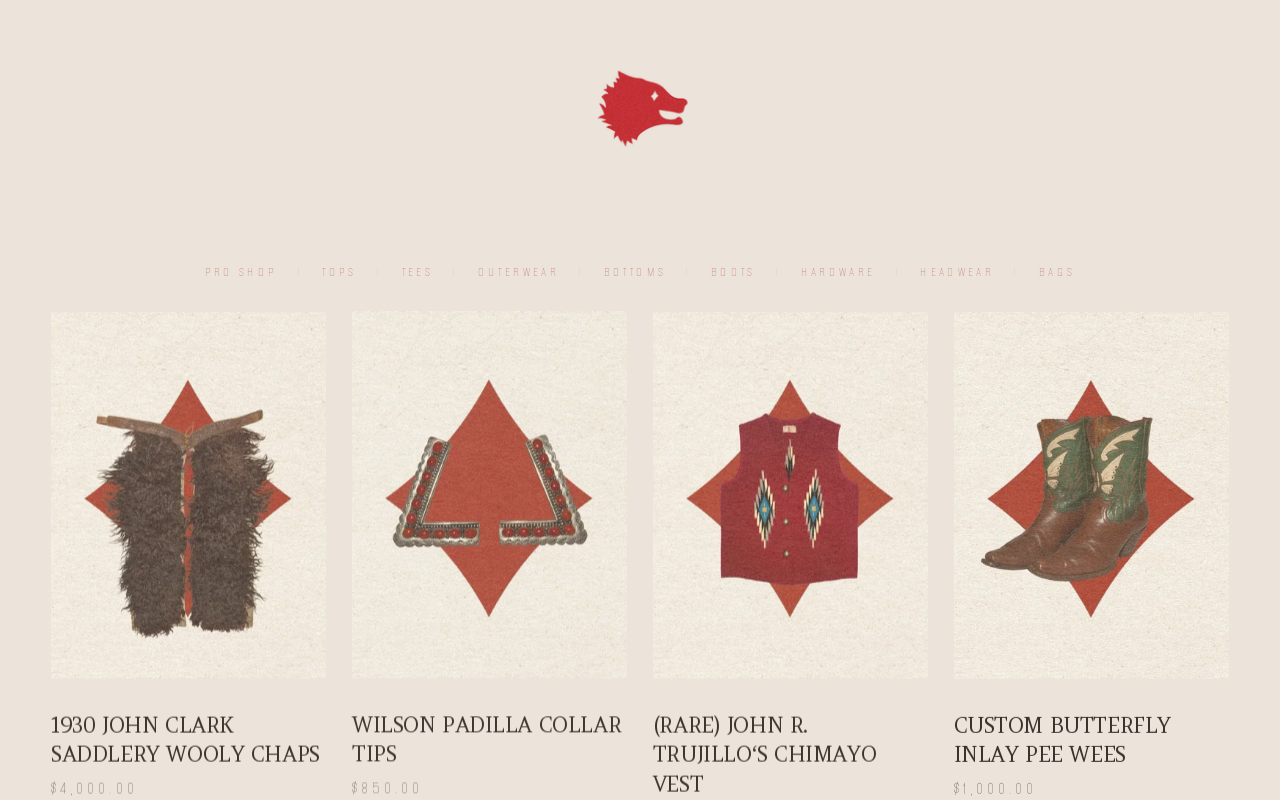 The Coyote Archives website preview