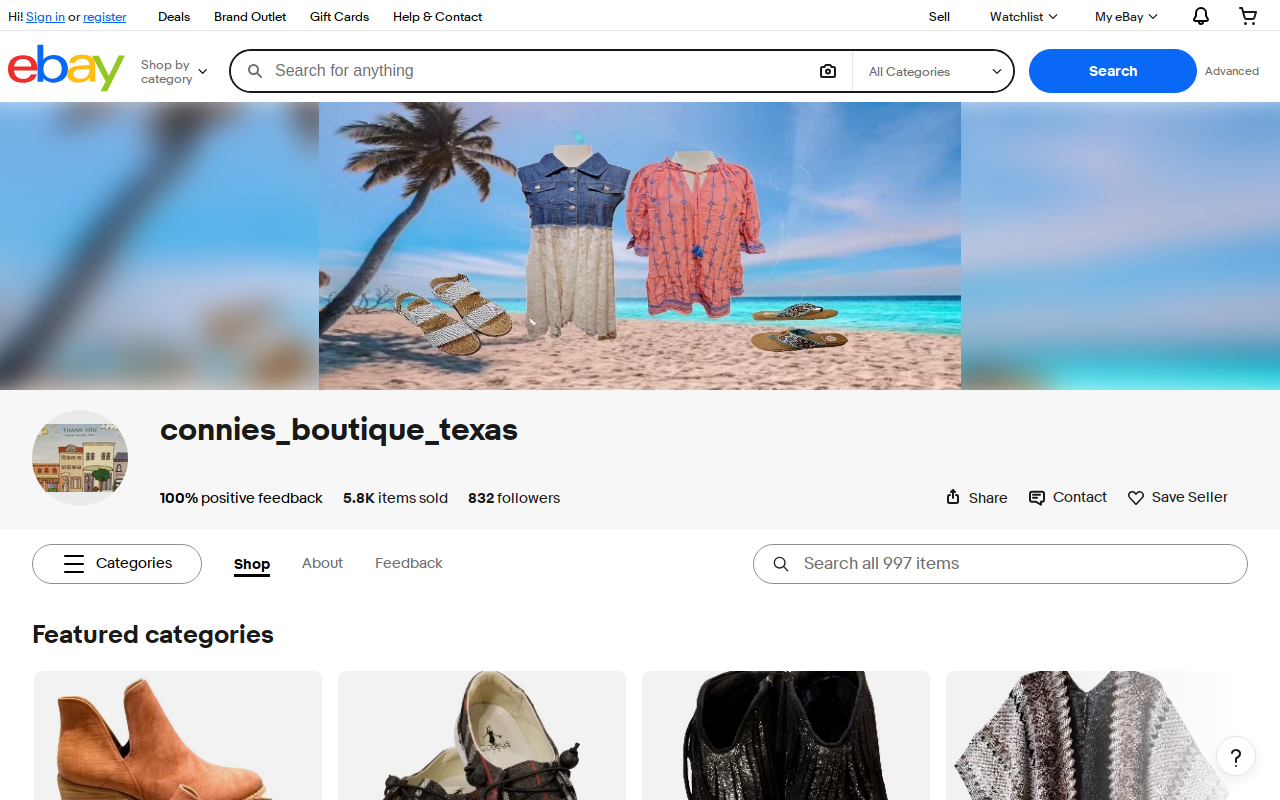 Connies website preview
