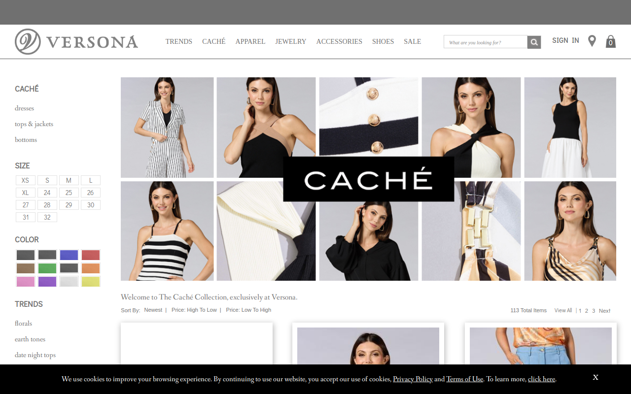 The Cactus Flower website preview