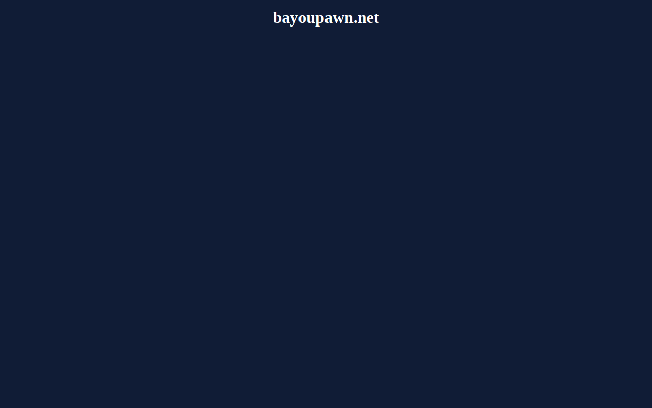 Bayou Pawn website preview