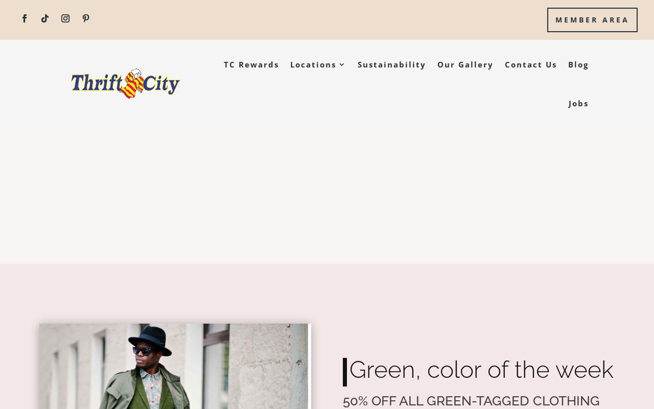 Shop Thrift City website preview