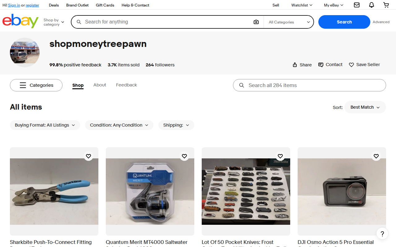 Money Tree Pawn website preview