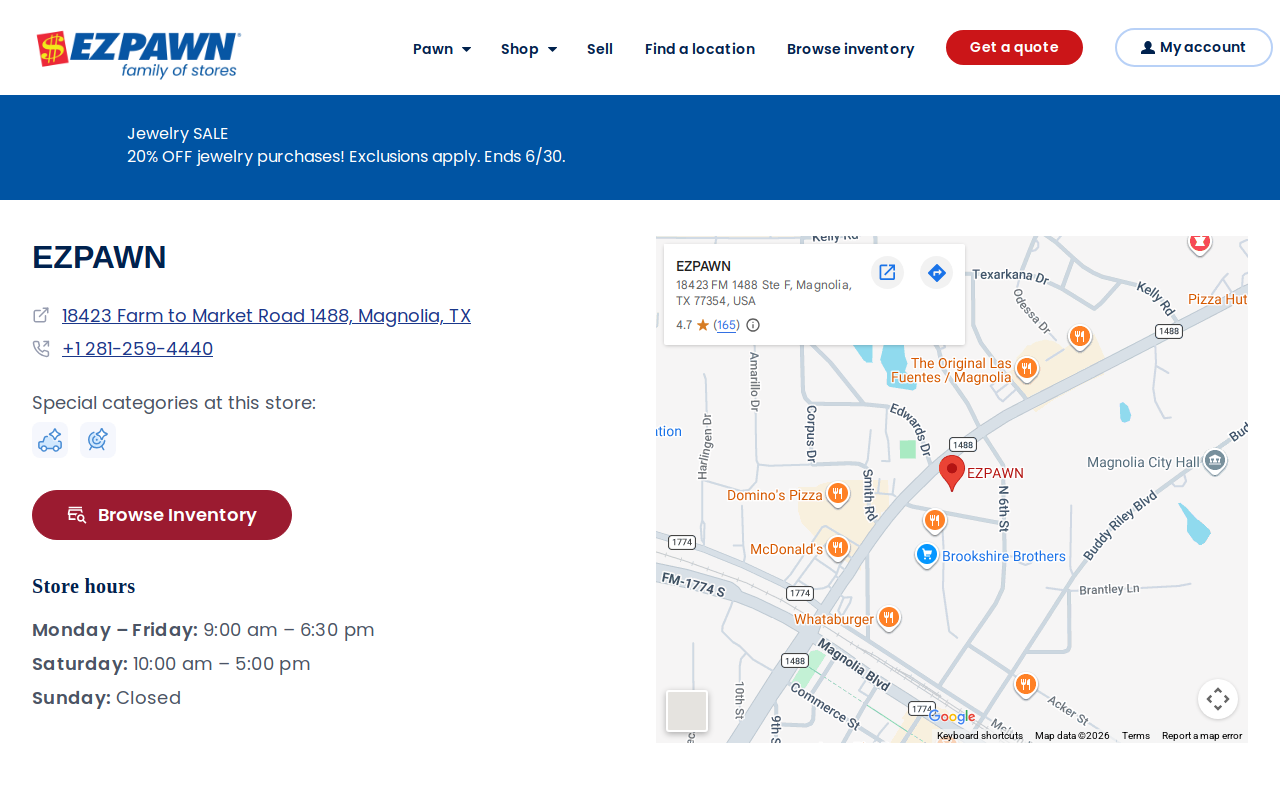 EZPAWN website preview