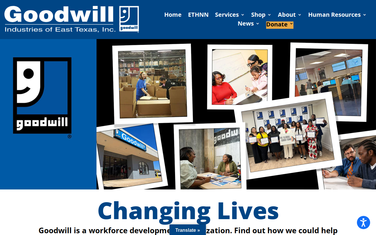 Goodwill website preview