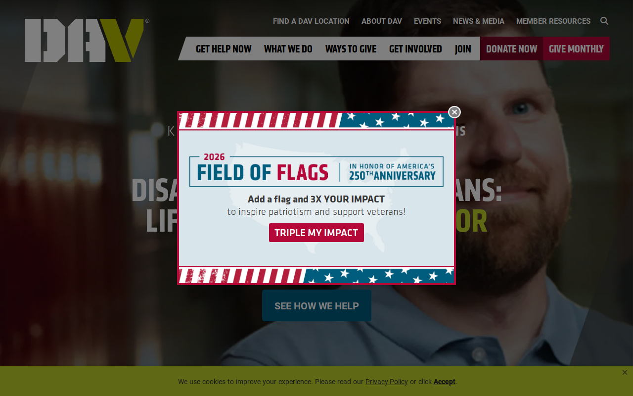 Dav Thrift Store website preview