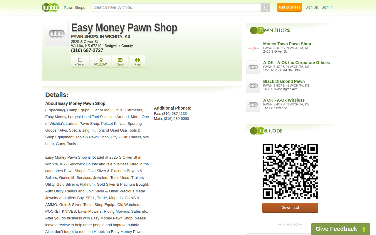 Easy Money Pawn Shop website preview