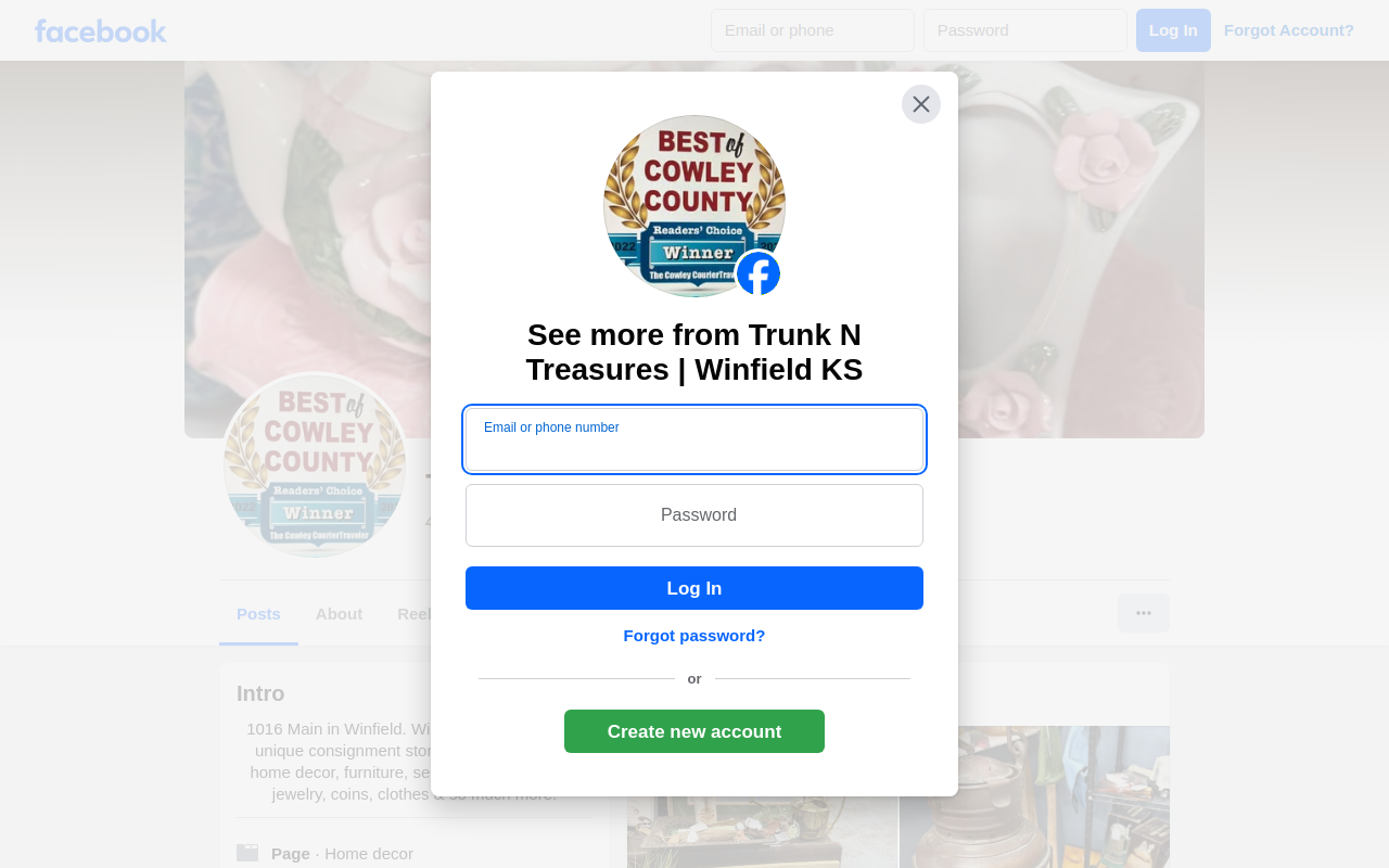 Trunk N Treasures website preview