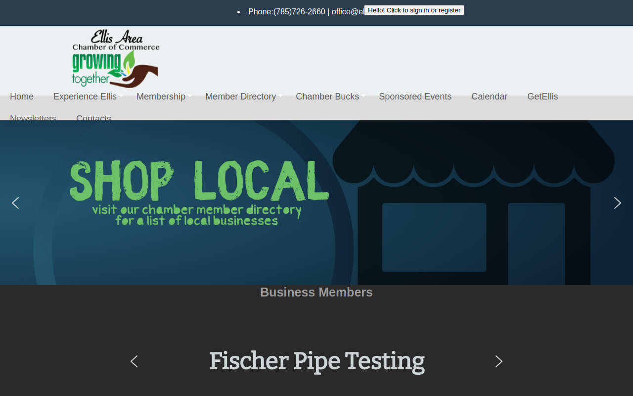 Ellis Community Thrift Shop website preview