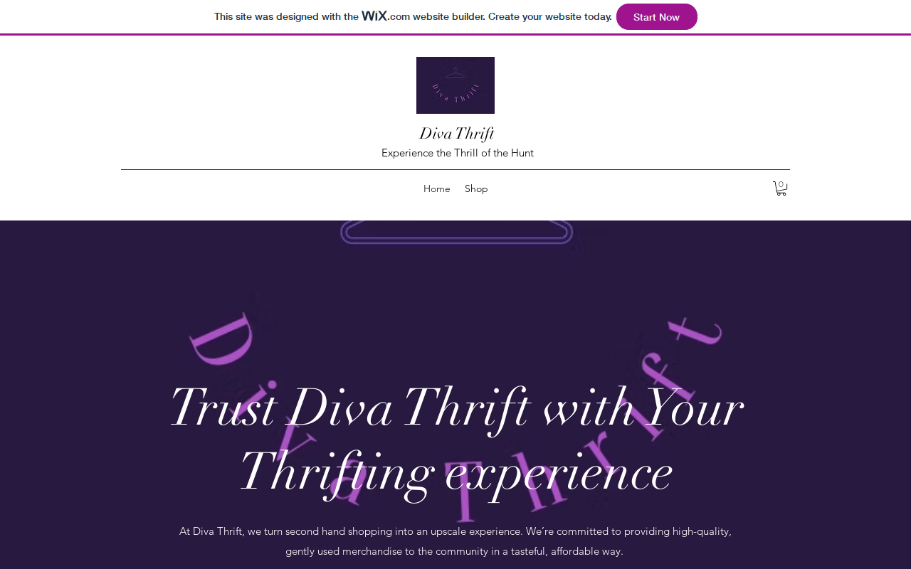 Diva Thrift website preview