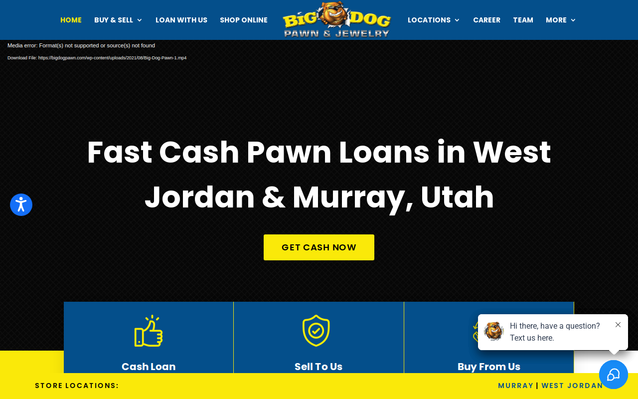 Big Dog Pawn website preview