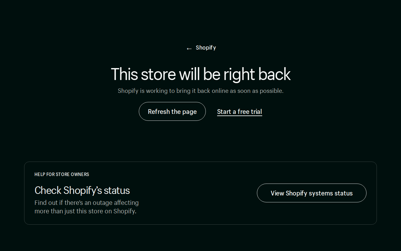L Train Vintage website preview