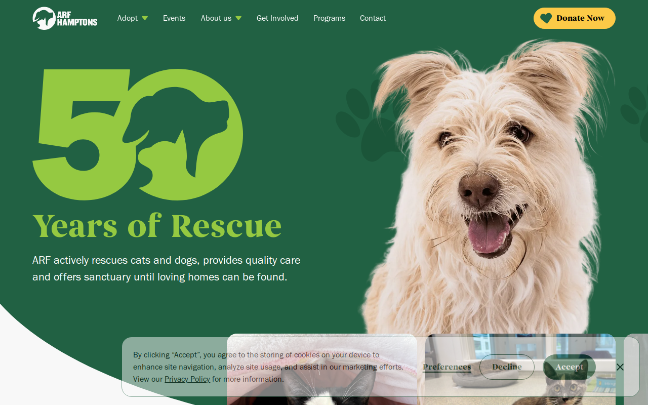 ARF Thrift & Treasure Shop website preview