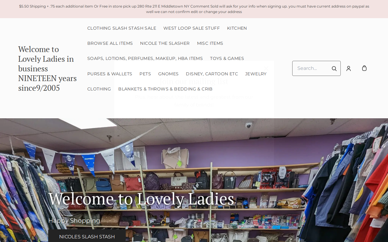 Lovely Ladies Consignment Shop website preview