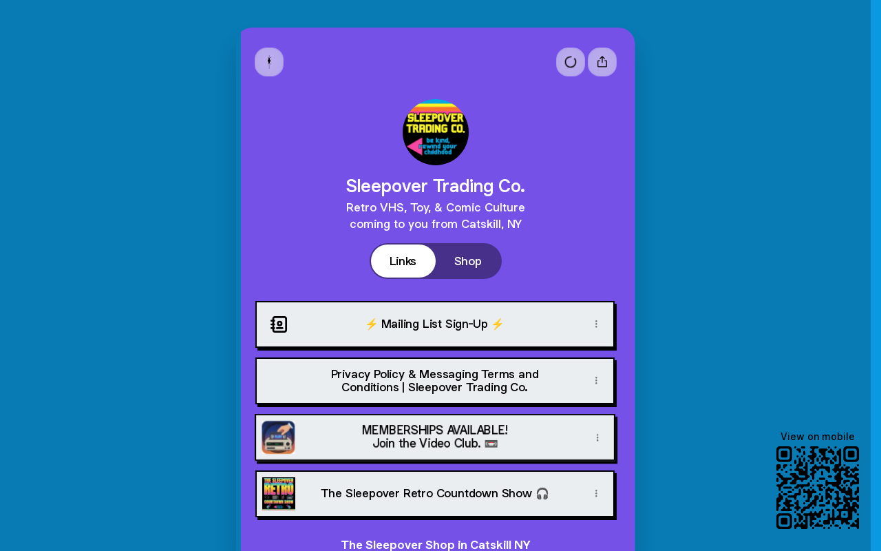 Sleepover Trading Co. website preview