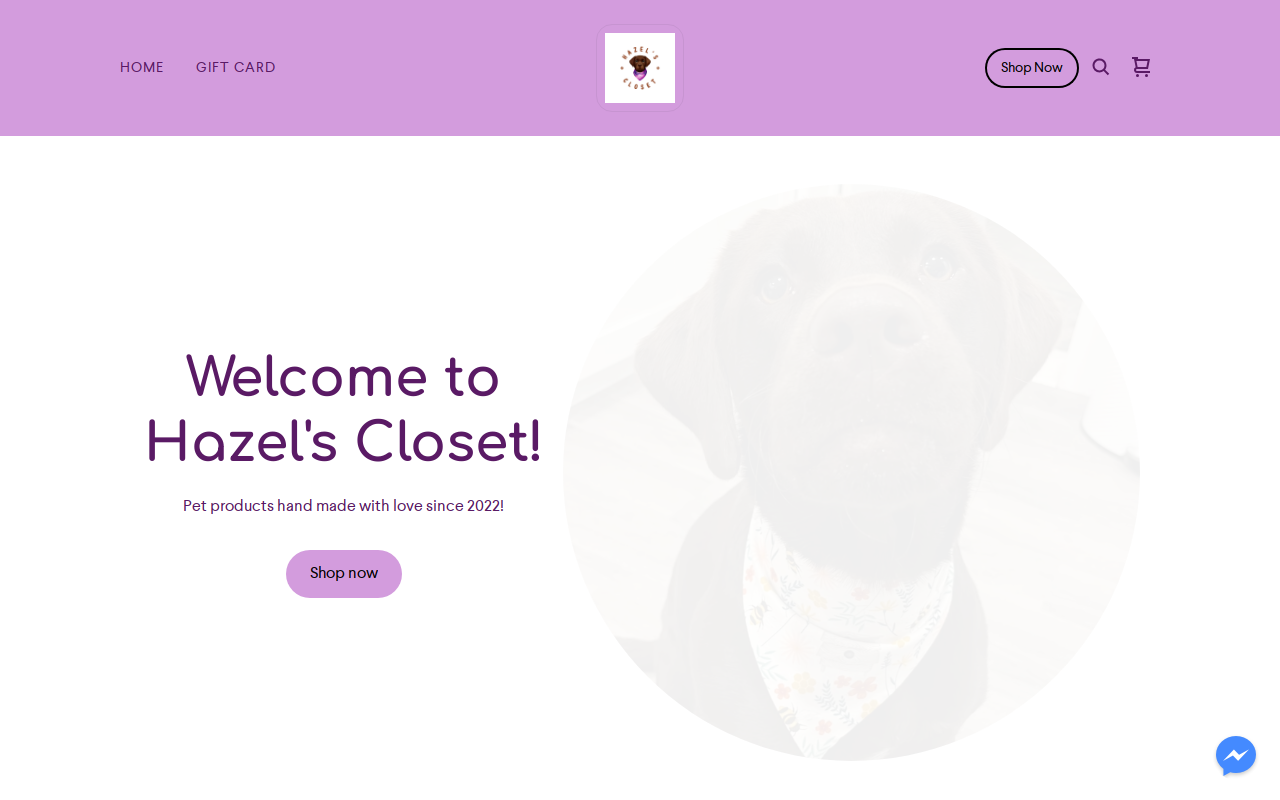 Hazel's Closet website preview