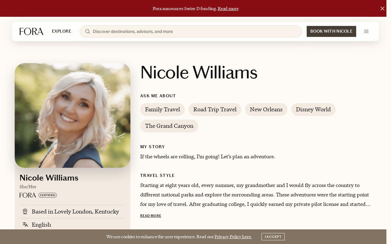 Platinum Pilot Travels website preview