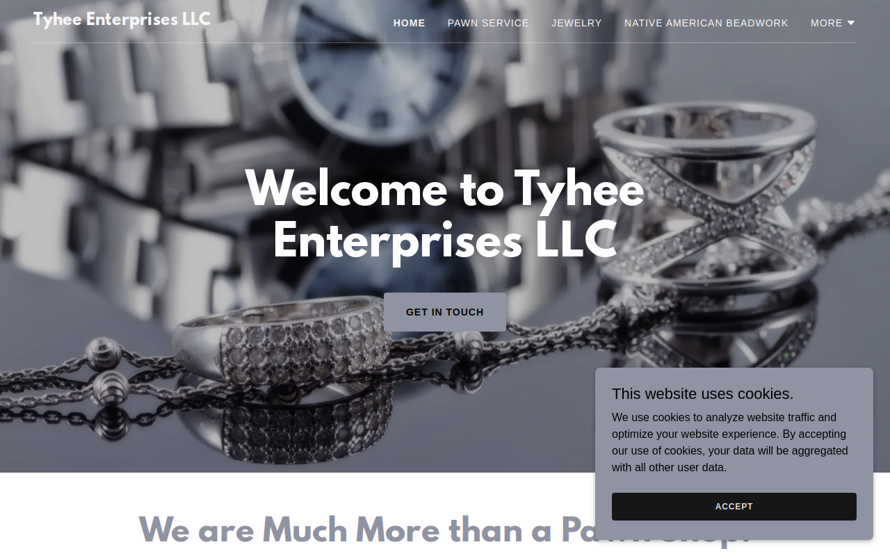 Tyhee Enterprises Llc website preview