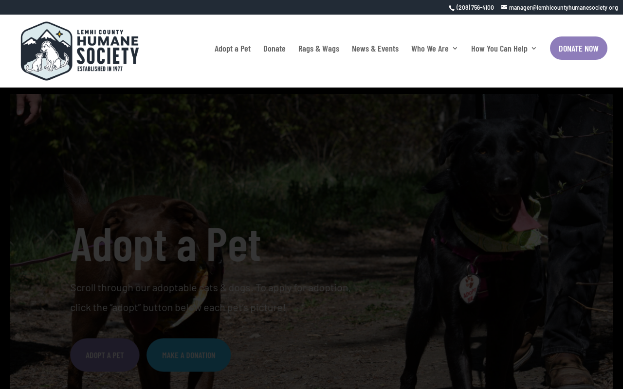 Rags & Wags website preview