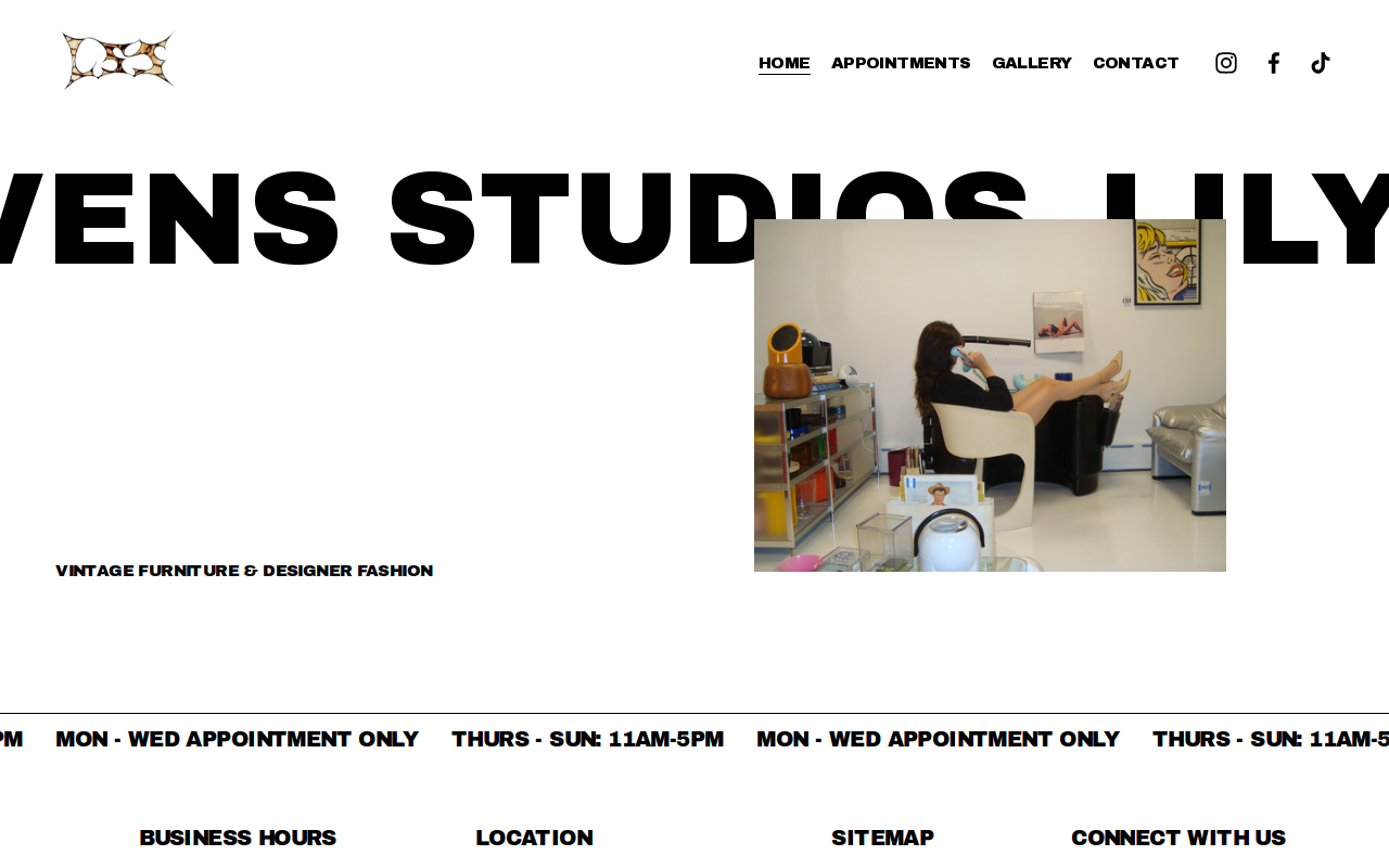 Lily Stevens Studios website preview