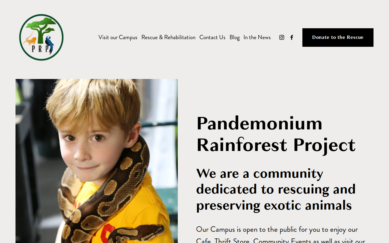 Pandemonium Thrift Shop website preview