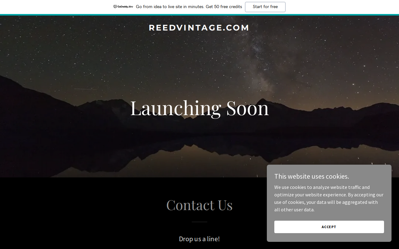 Reed Vintage website preview