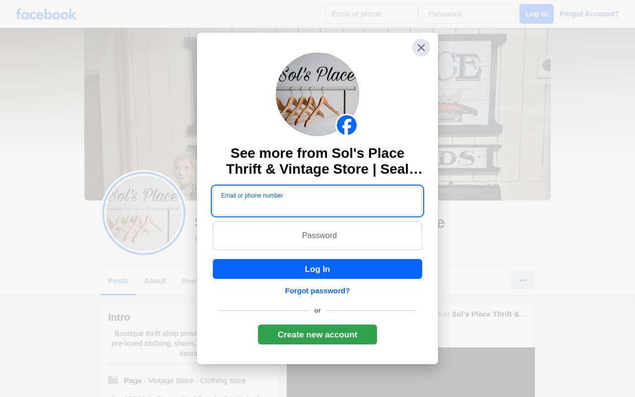 Sol's Place Thrift & Vintage website preview
