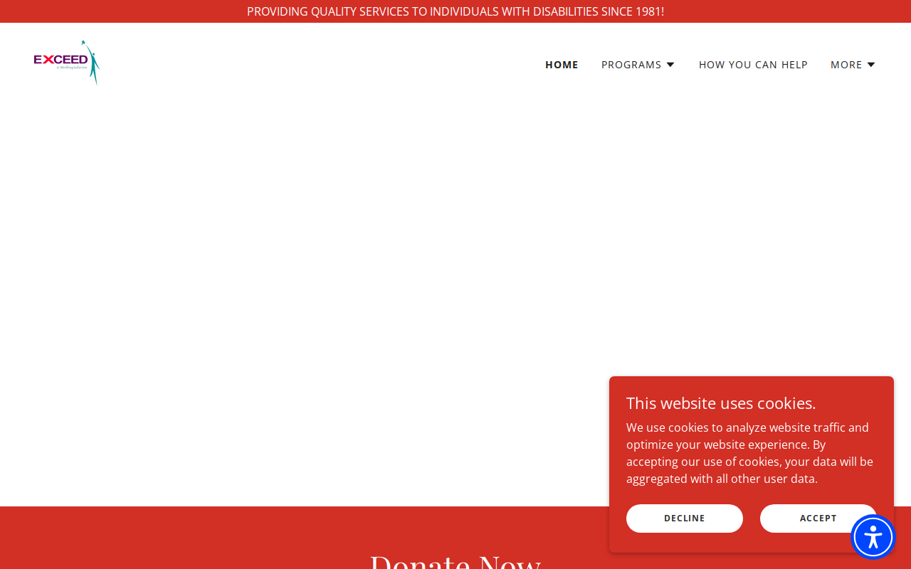 Exceed website preview