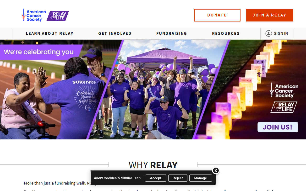 American Cancer Society Discovery Shop website preview